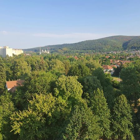 Hegyalja Apartman Miškovec Exteriér fotografie