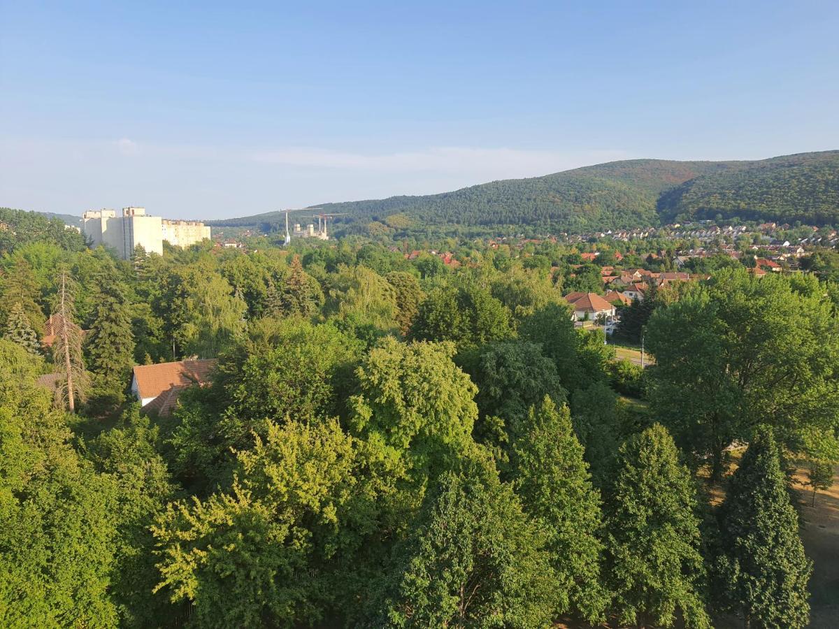 Hegyalja Apartman Miškovec Exteriér fotografie