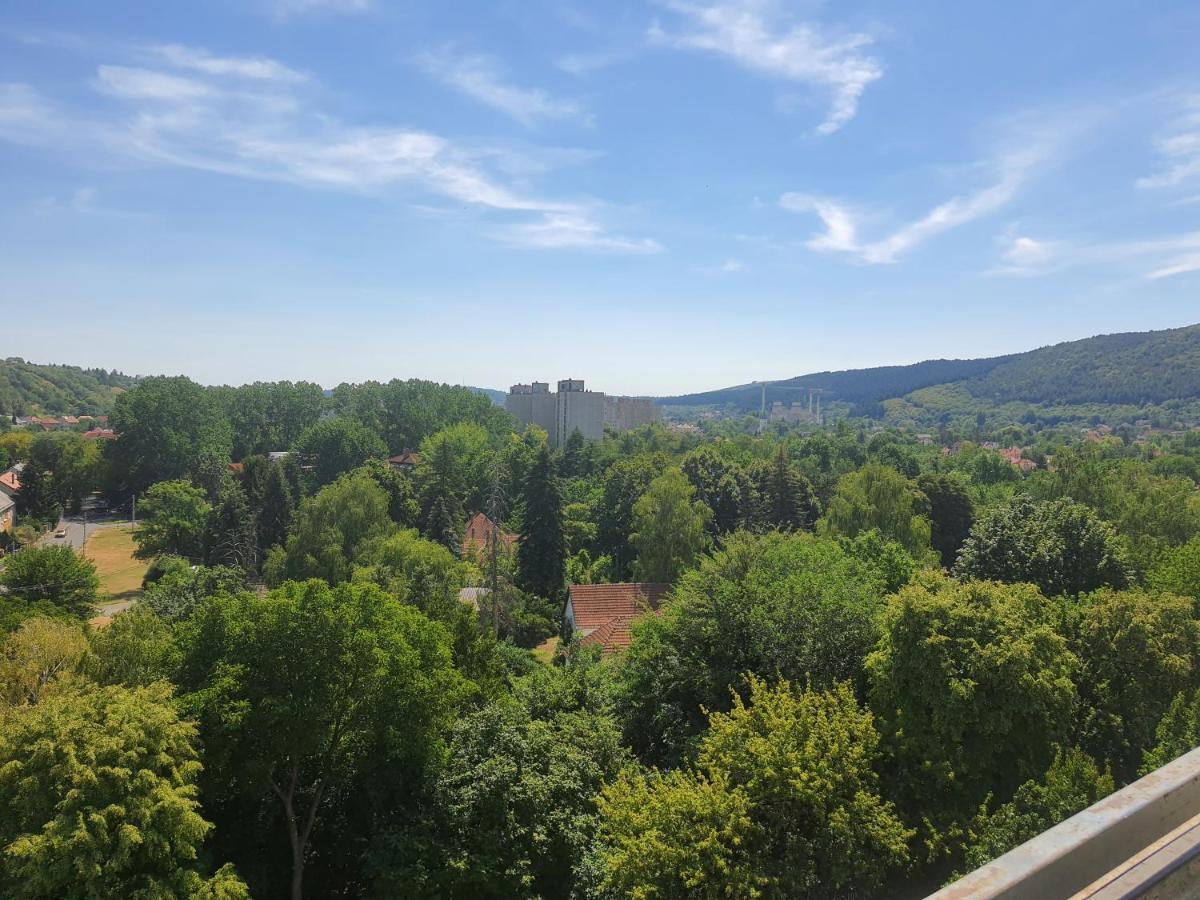 Hegyalja Apartman Miškovec Exteriér fotografie
